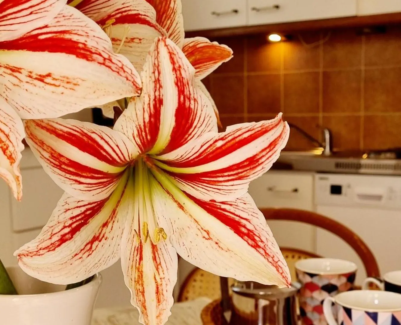 Apartment Hana Ičići